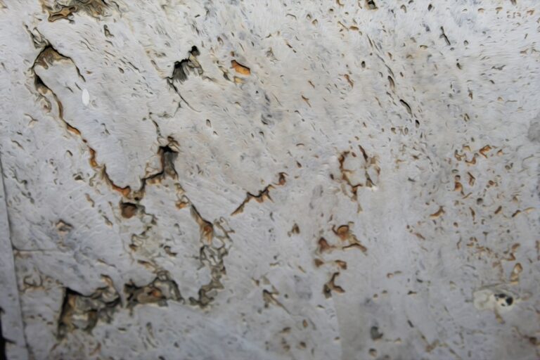 Amphibole Asbestos: What Homeowners Need to Know