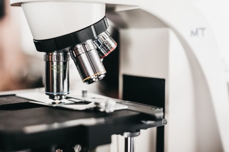 Mold Microscope: What Labs See and What You Can See at Home