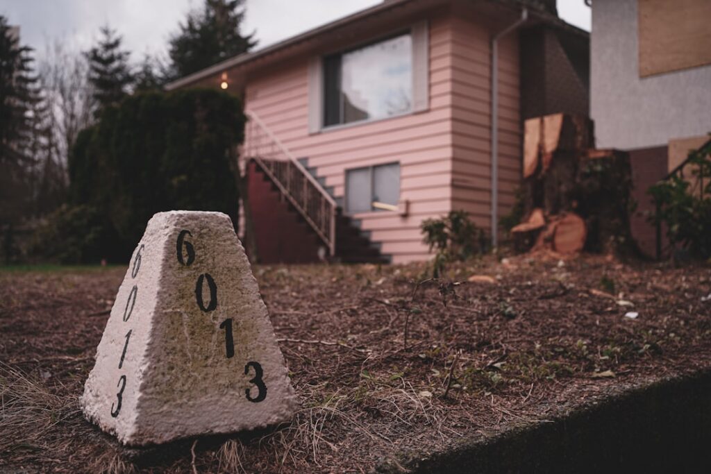 termite and radon inspection cost