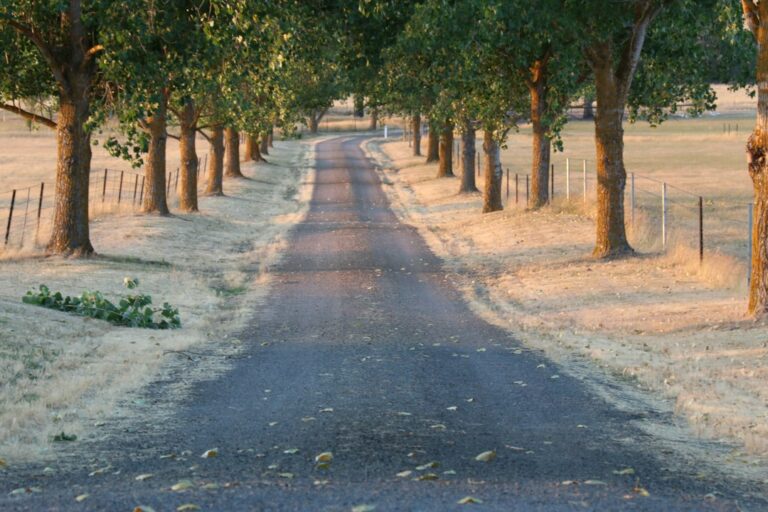 Asphalt Driveway Sealing: Timing, Crack Fill and Costs