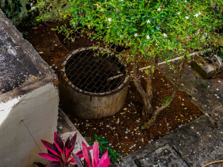 Iron Filter: Removing Iron and Staining From Well Water