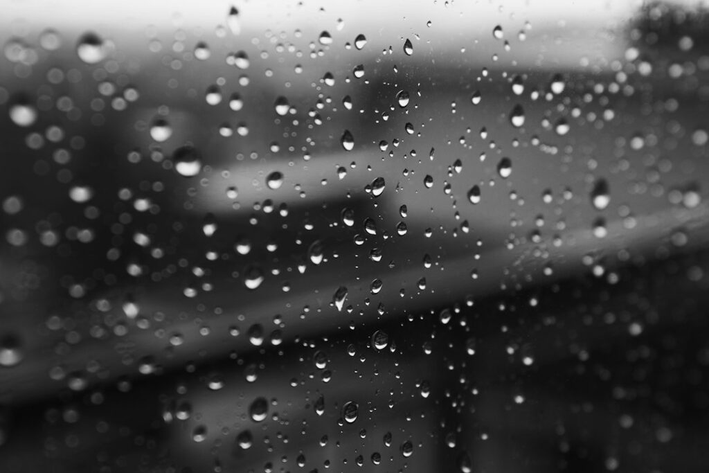 Photo via Unsplash by Sebastiano Piazzi