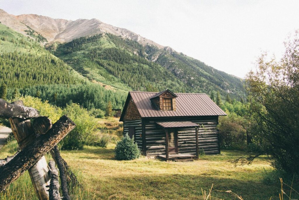 Photo via Unsplash by Mike Petrucci