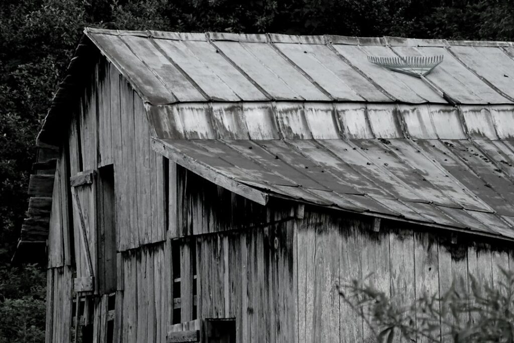 Photo via Unsplash by Patti Black