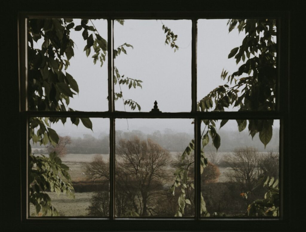 Photo via Unsplash by Annie Spratt