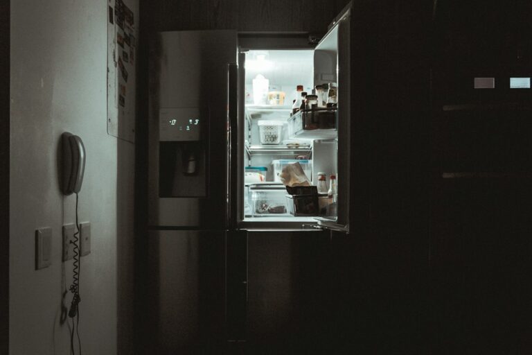 Refrigerator Door Gaskets: Testing the Seal and Replacing It