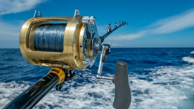 Powered Anode Rods: How They Work and When to Use One