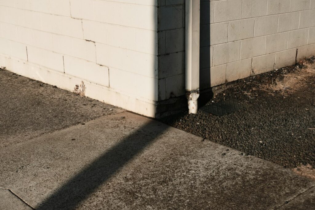 Photo via Unsplash by Joel Timothy