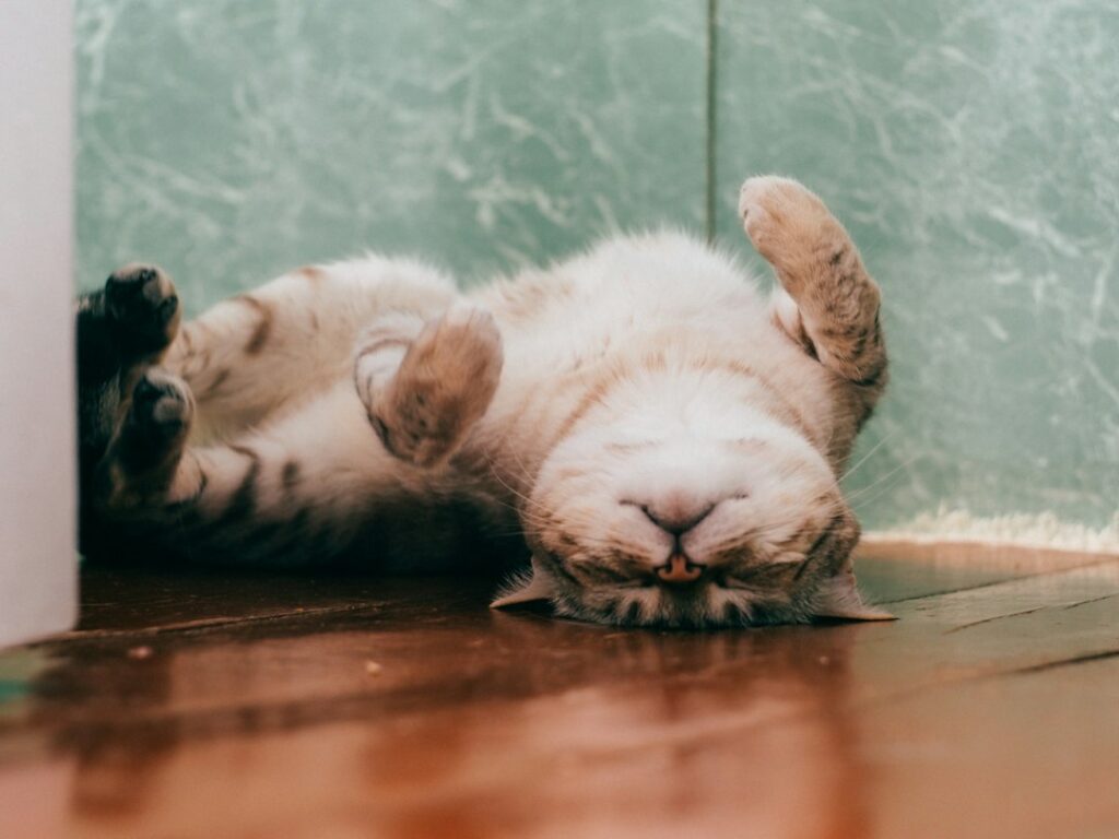 Photo via Unsplash by Daria Shatova