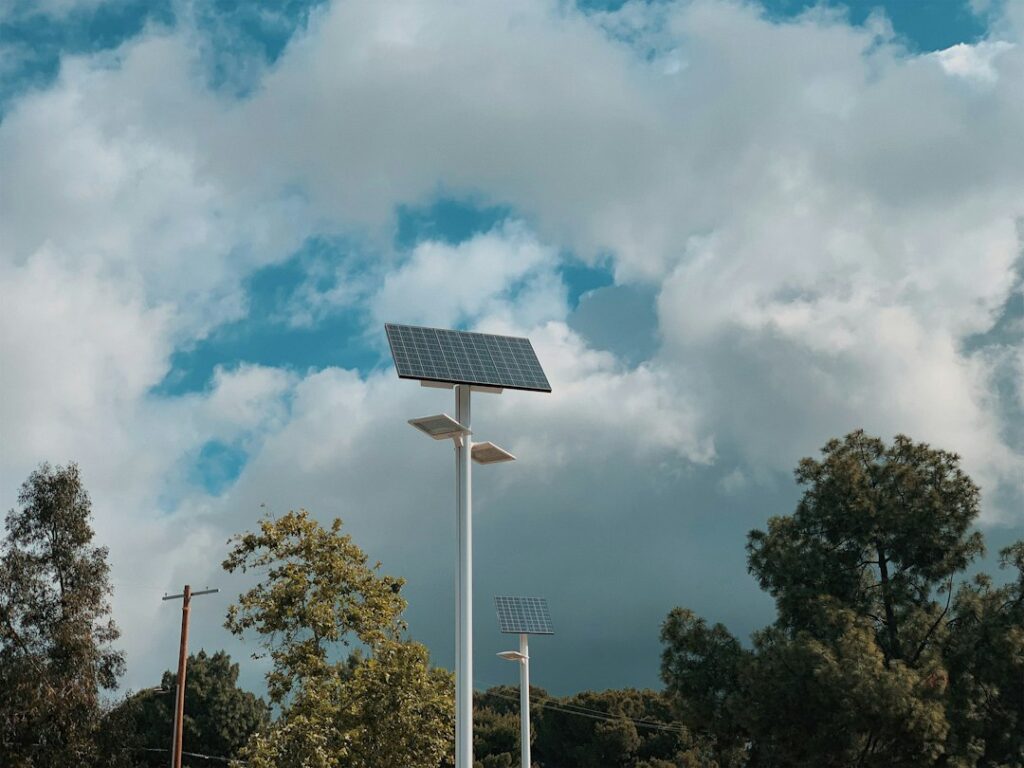 Photo via Unsplash by Sandra Parra