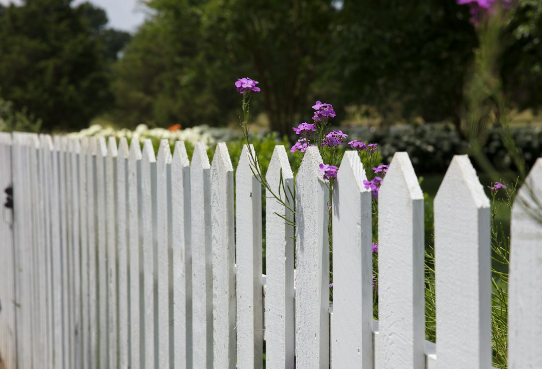 Best Fence (2026): Wood, Vinyl and Metal Compared - InspectandTest